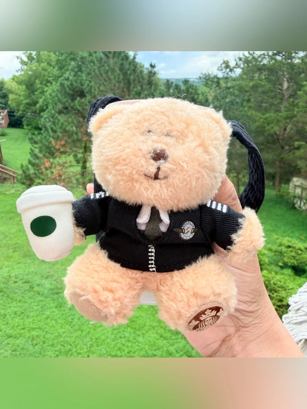 Rare Starbucks x STARLUX Collaboration exclusive pilot Bearista cup carrier